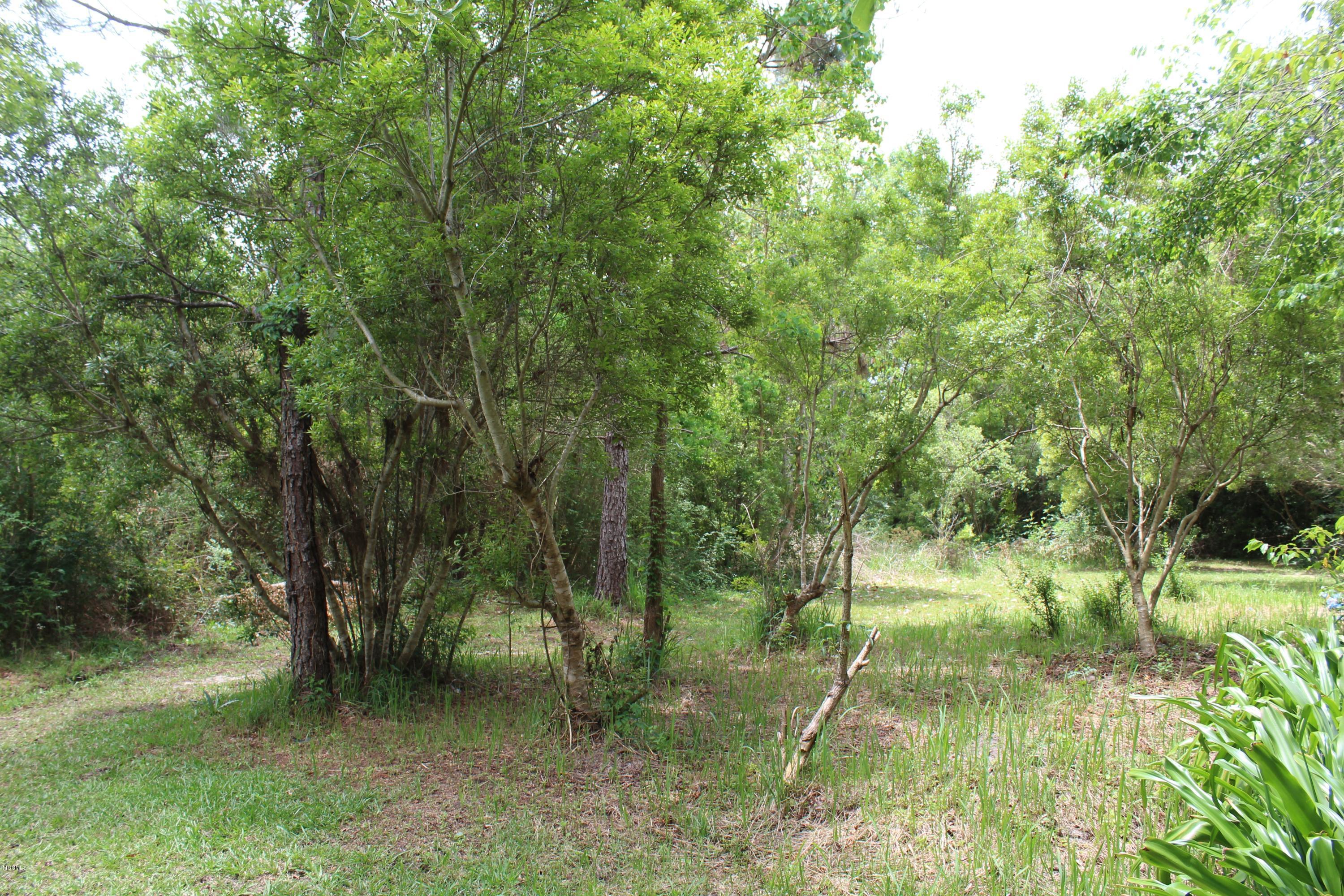19085 West Honey Branch Road Saucier, MS 39574 - Photo 12 of 15 IMG_4242