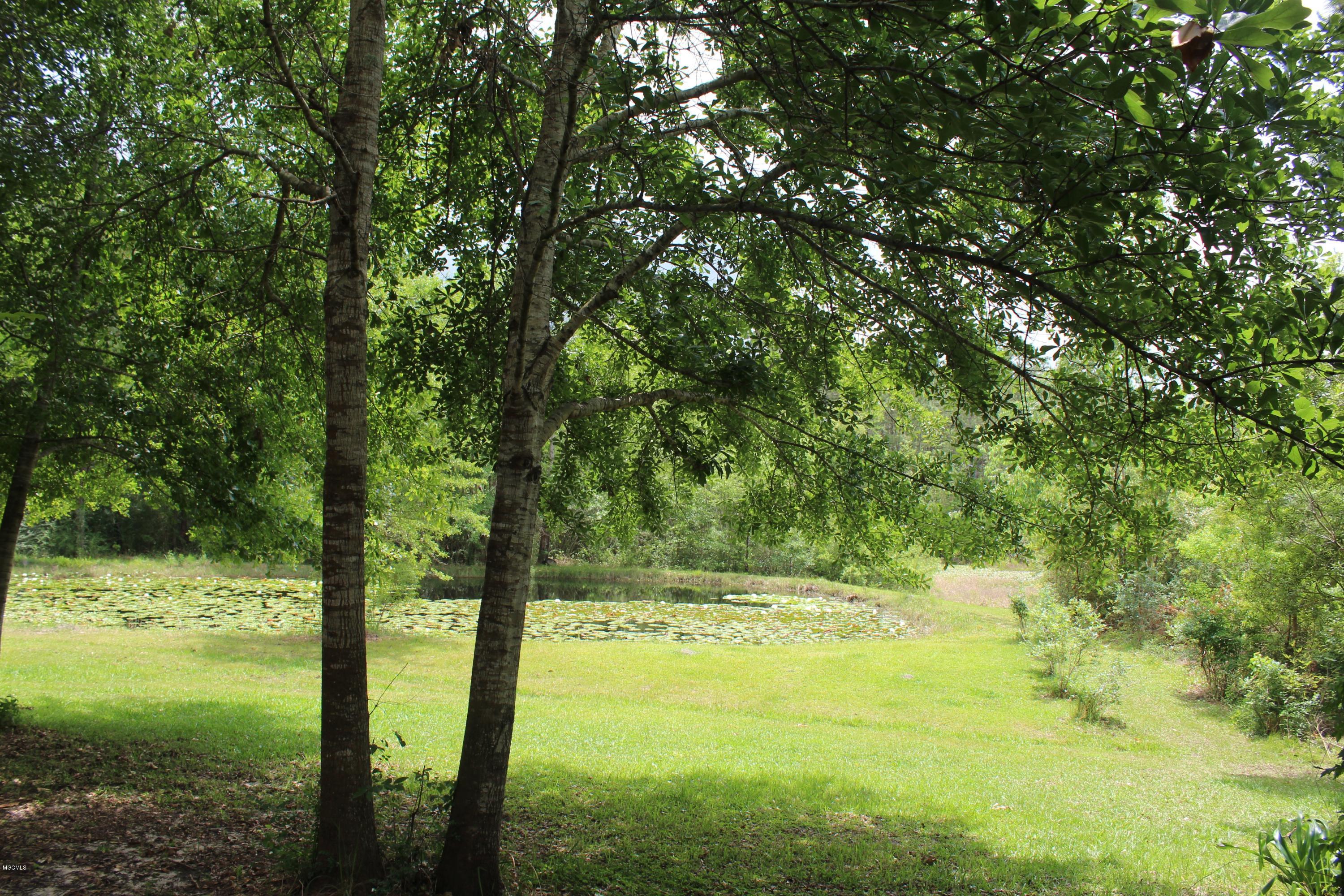 19085 West Honey Branch Road Saucier, MS 39574 - Photo 6 of 15 IMG_4236