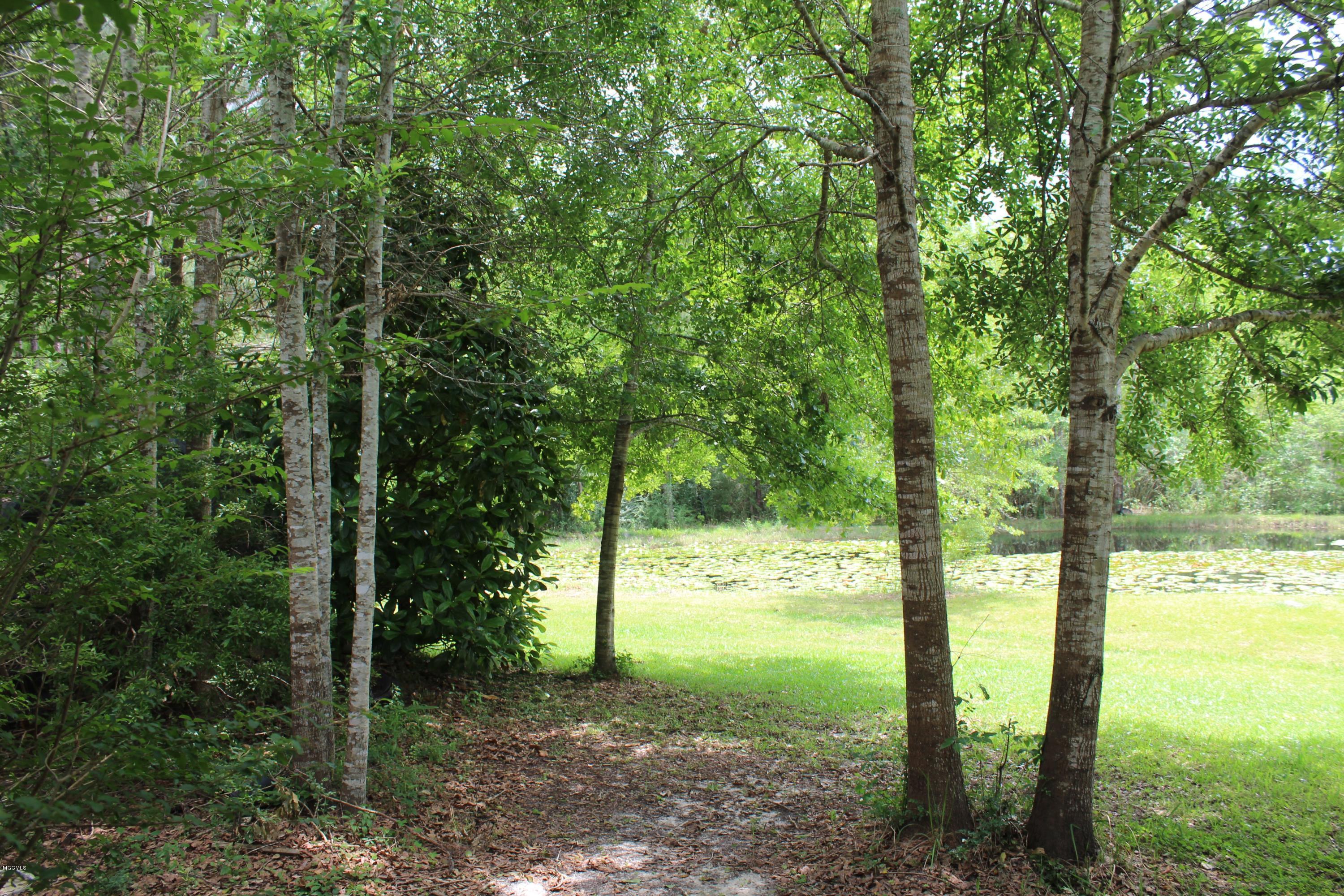 19085 West Honey Branch Road Saucier, MS 39574 - Photo 7 of 15 IMG_4237