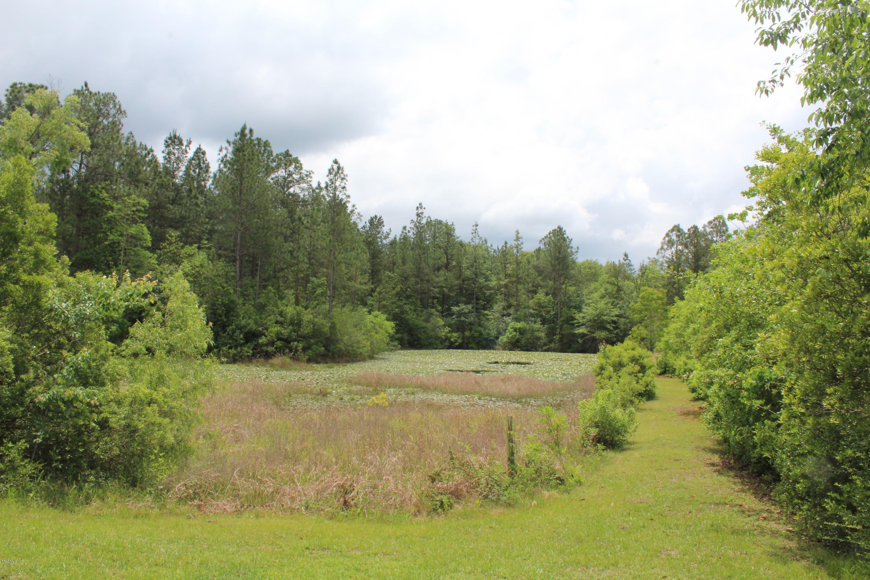 19085 West Honey Branch Road Saucier, MS 39574 - Photo 8 of 15 IMG_4238