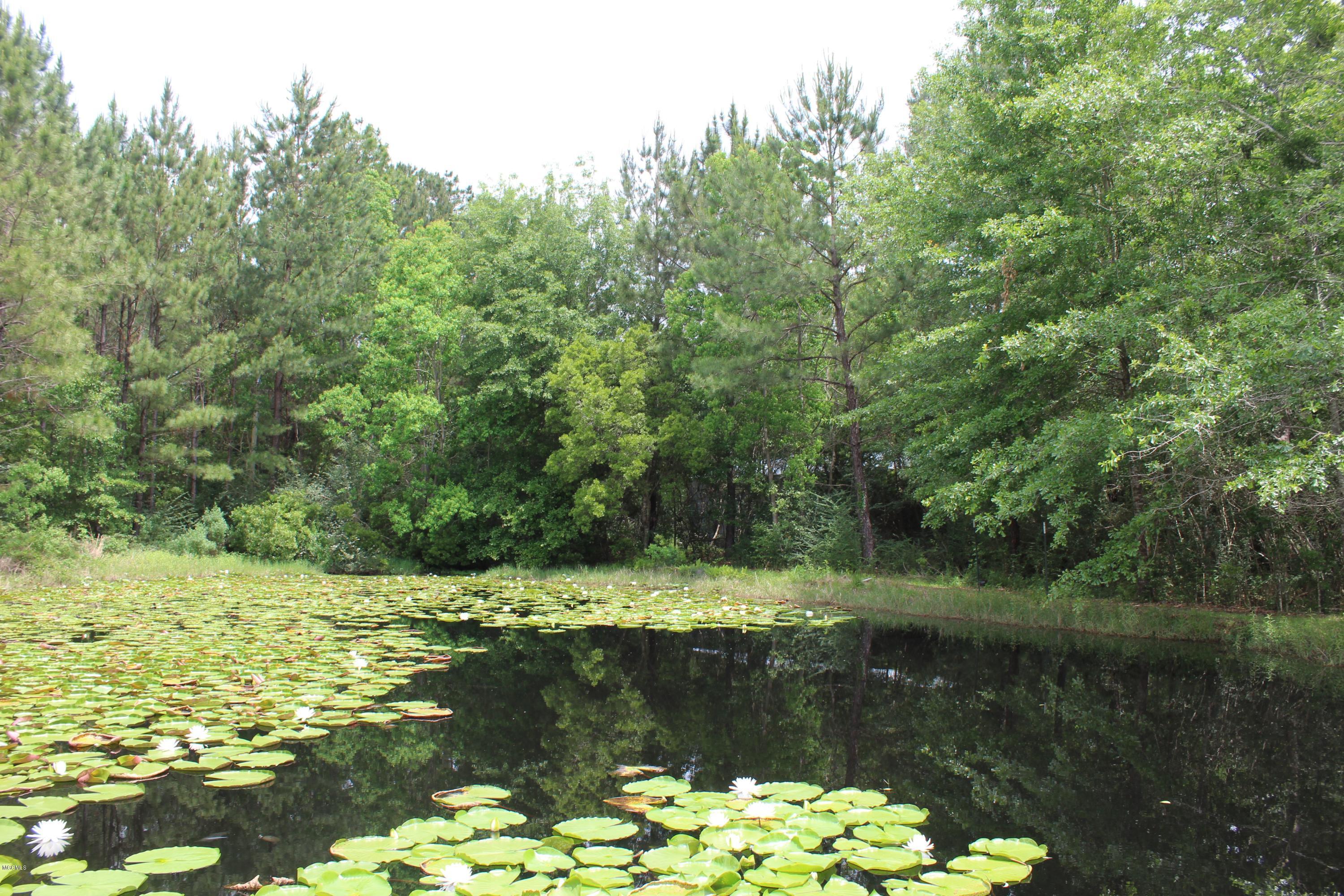 19085 West Honey Branch Road Saucier, MS 39574 - Photo 10 of 15 IMG_4240