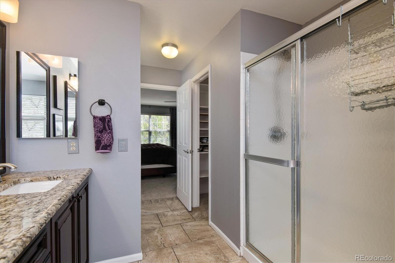 753 Huntington Drive Highlands Ranch, CO 80126 - Photo 18 of 30