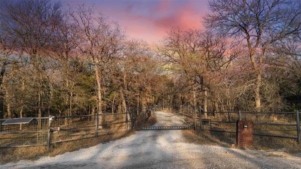 a view of a forest with trees