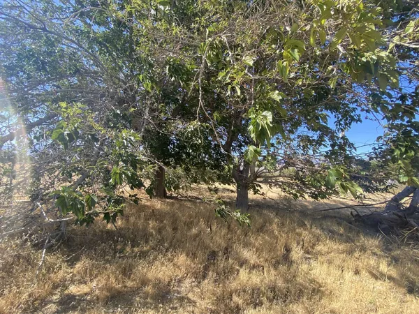 $14,999 | 8521 Fremontia Way, Mountain Mesa, CA 93240