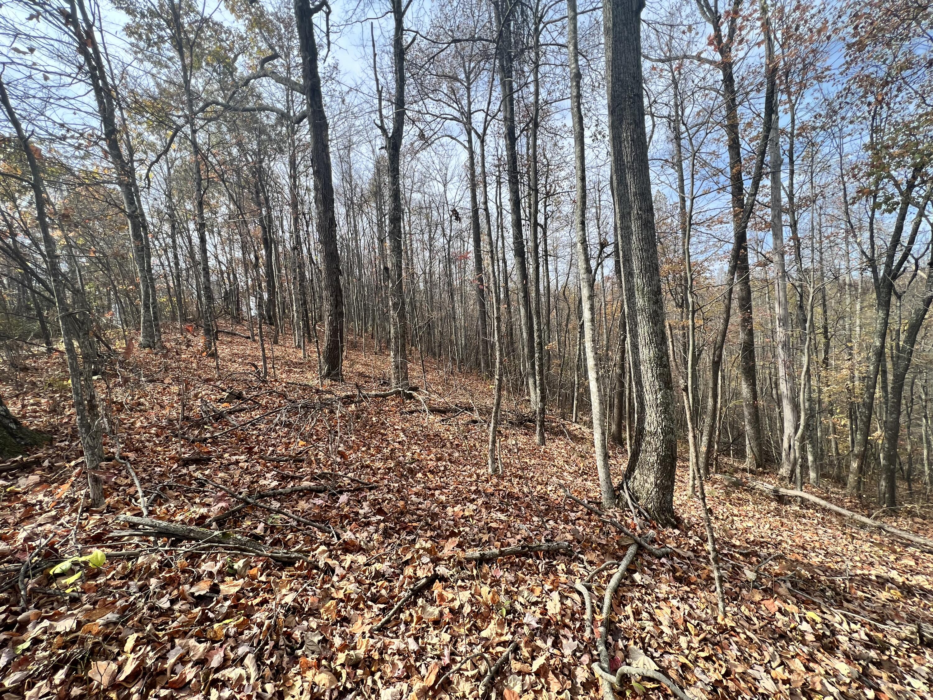 9999 Bar Creek Road Oneida, KY 40972 - Photo 4 of 15 4A8BD351-9143-475E-BD9E-2B36D252E468