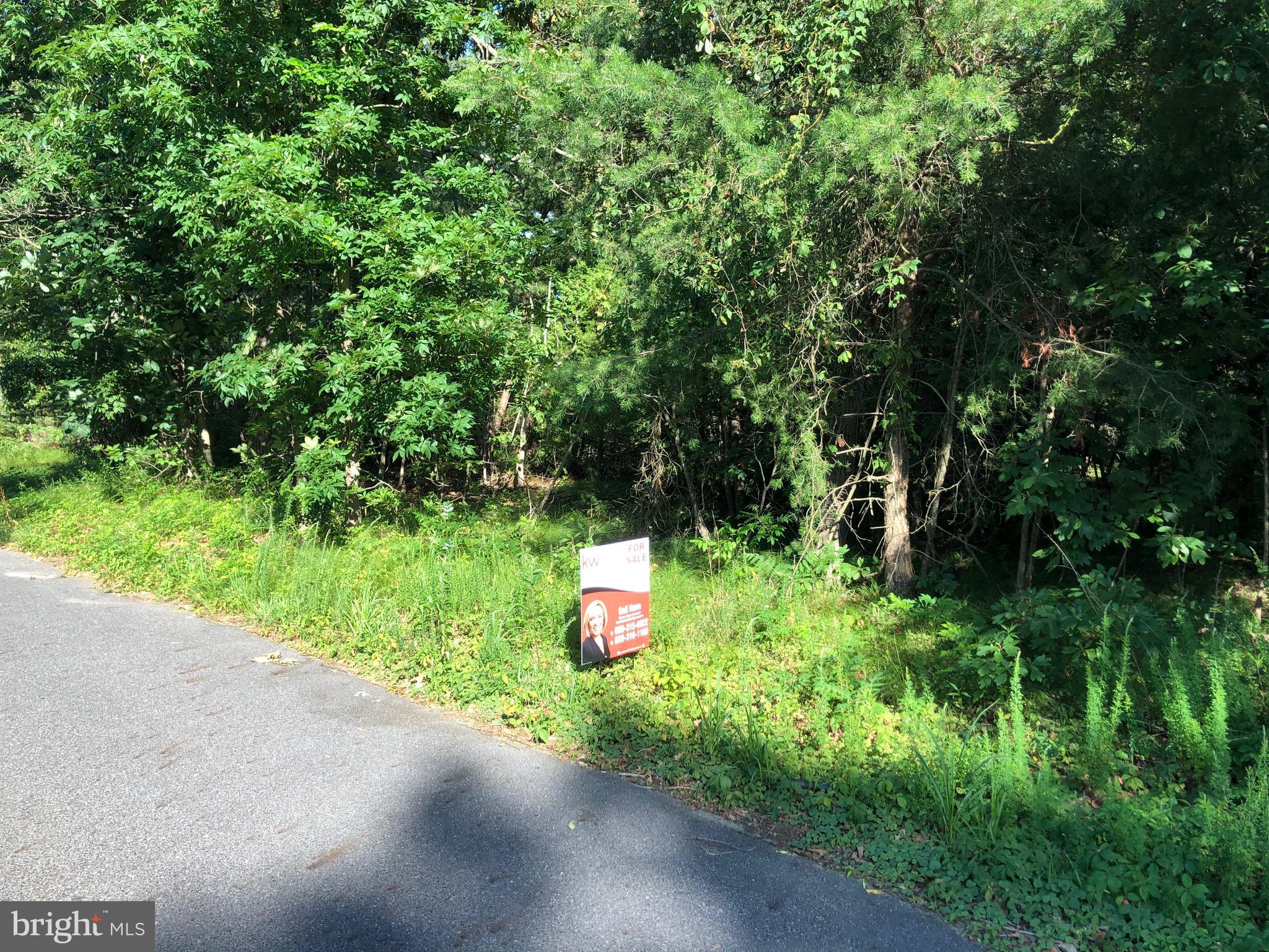 3 Good Intent Road Voorhees, NJ 08043 - Photo 1 of 2 Gallery Image 1