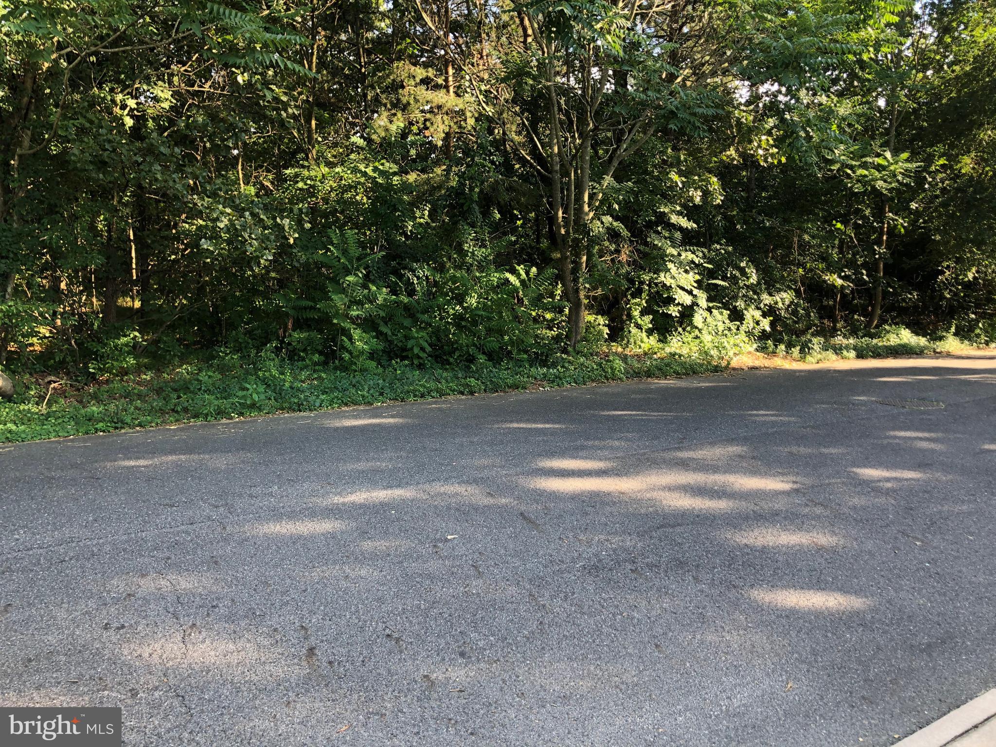 3 Good Intent Road Voorhees, NJ 08043 - Photo 2 of 2 Gallery Image 2