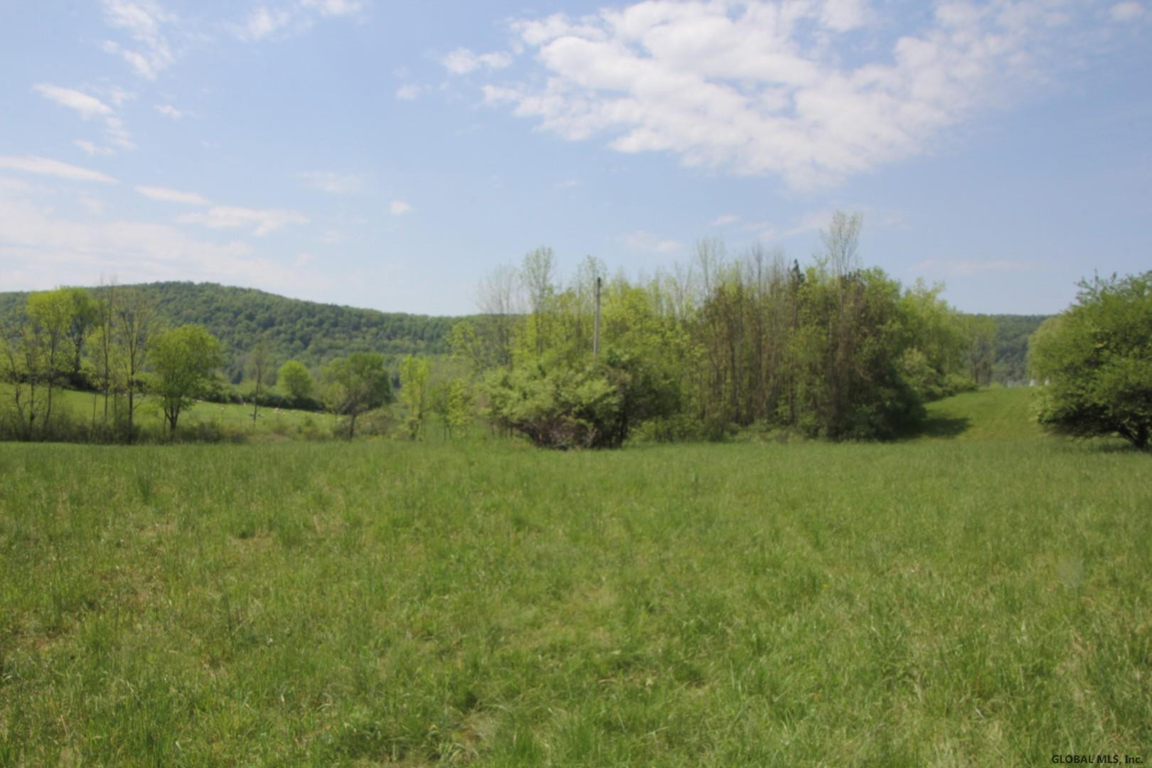 211 Hill Road Seward, NY 12043 - Photo 3 of 10 Photo 3