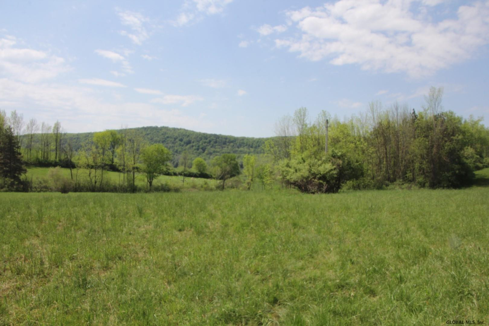 211 Hill Road Seward, NY 12043 - Photo 4 of 10 Photo 4