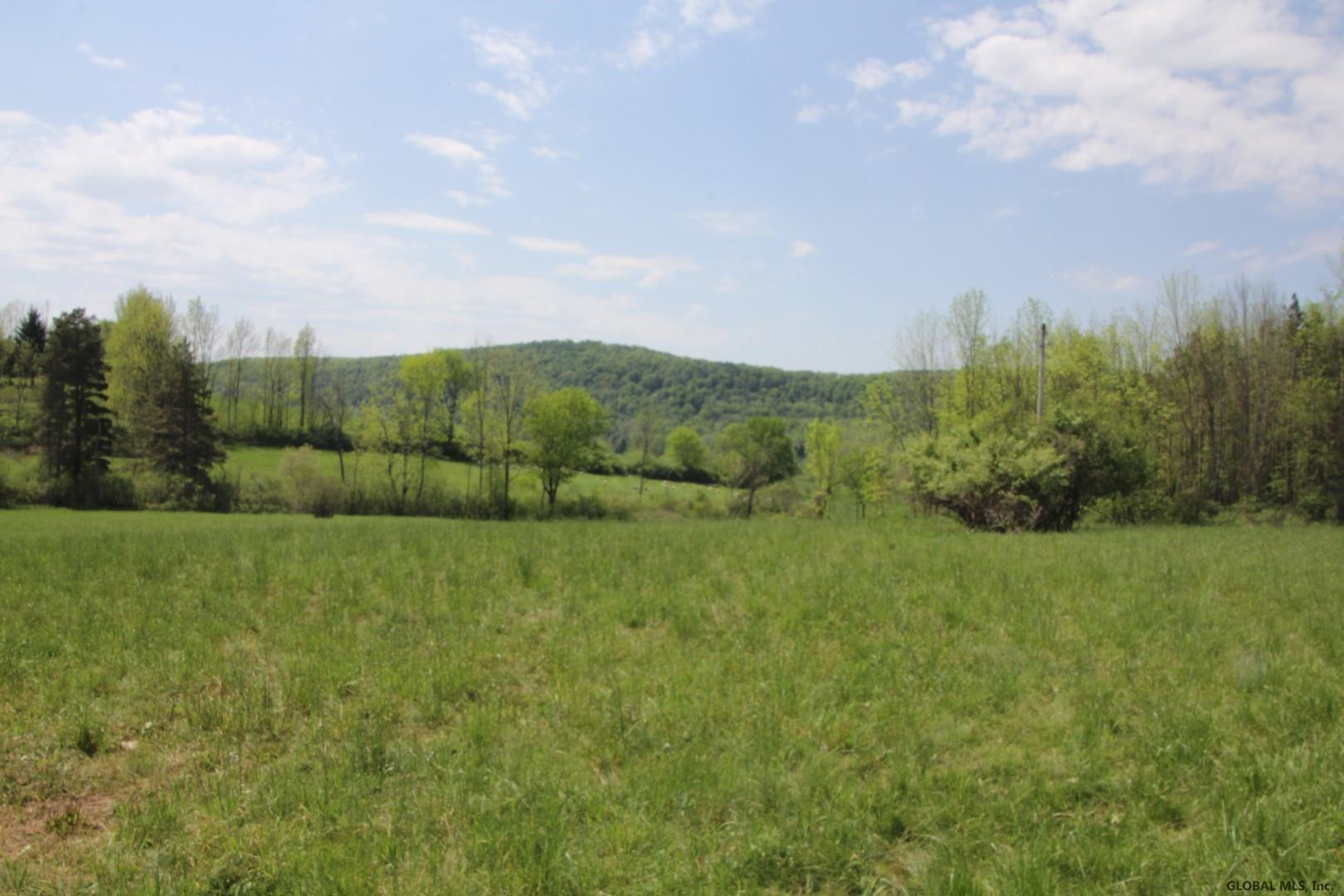 211 Hill Road Seward, NY 12043 - Photo 5 of 10 Photo 5