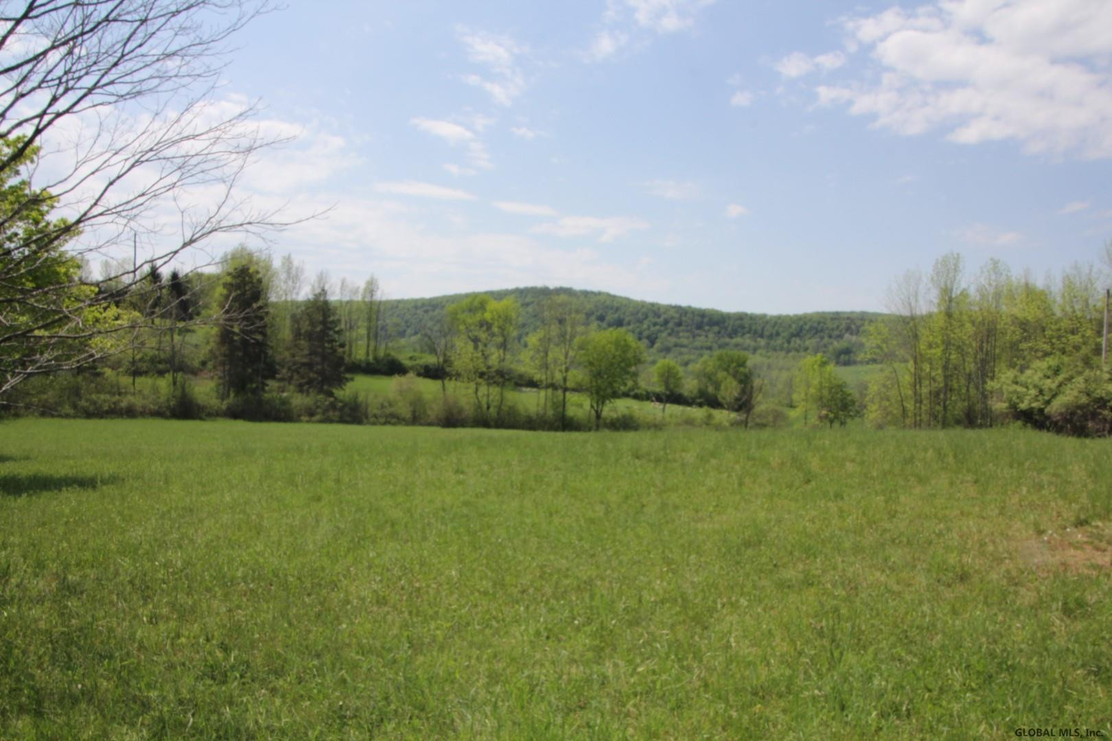 211 Hill Road Seward, NY 12043 - Photo 7 of 10 Photo 7