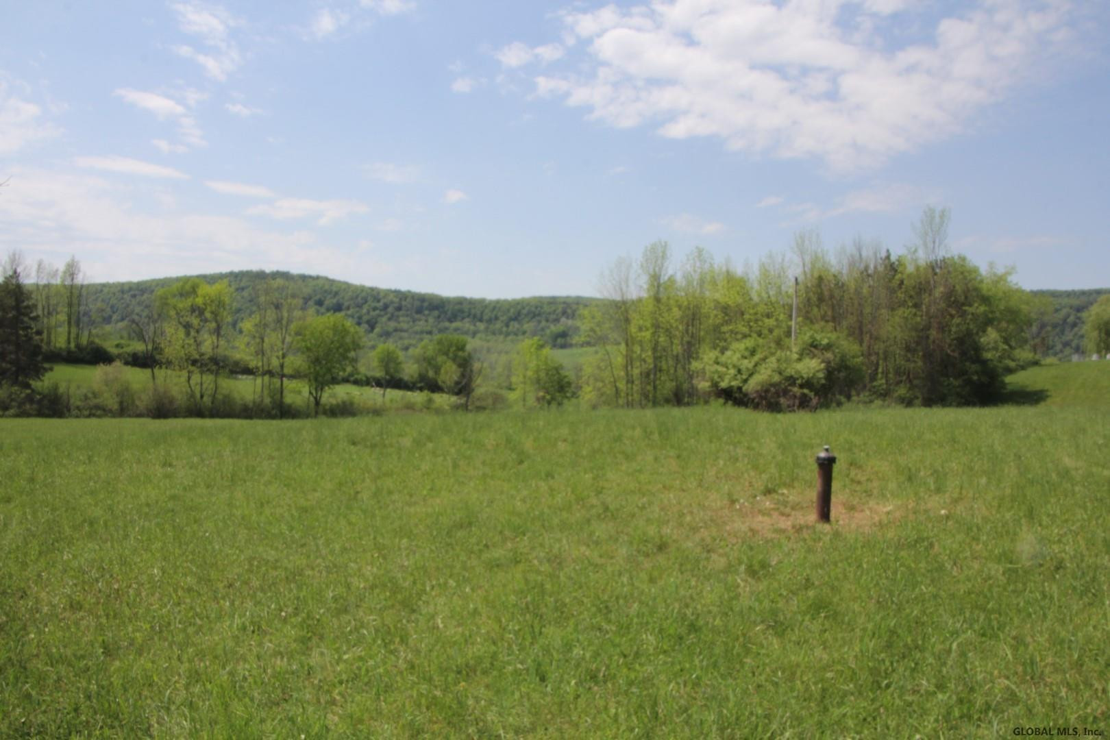 211 Hill Road Seward, NY 12043 - Photo 8 of 10 Photo 8