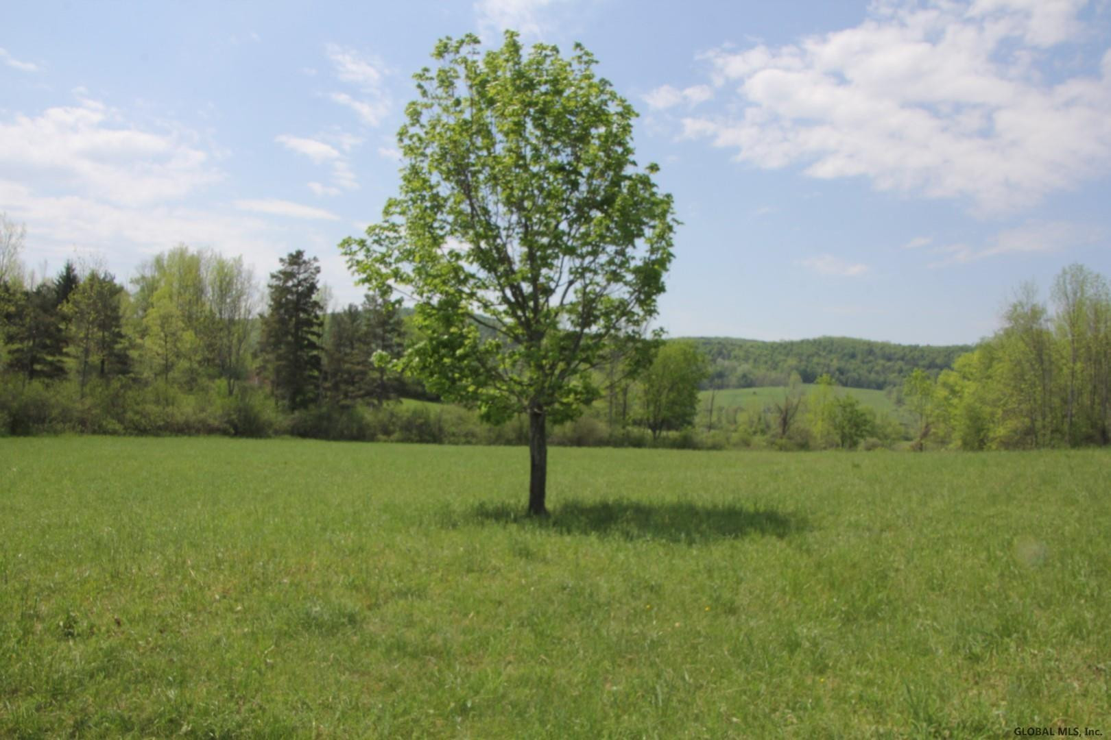 211 Hill Road Seward, NY 12043 - Photo 9 of 10 Photo 9