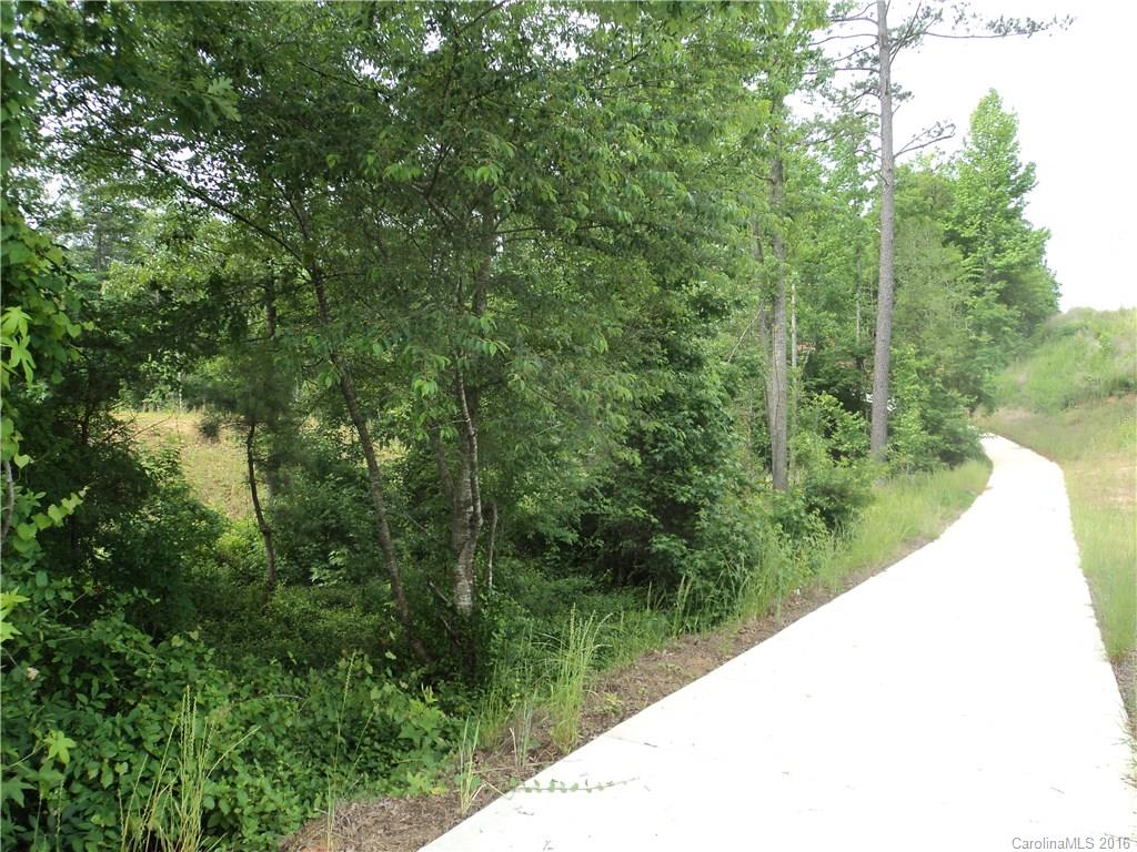 1810 Larkspur Way, Unit 197 Tega Cay, SC 29708 - Photo 19 of 24 Gallery Image 19