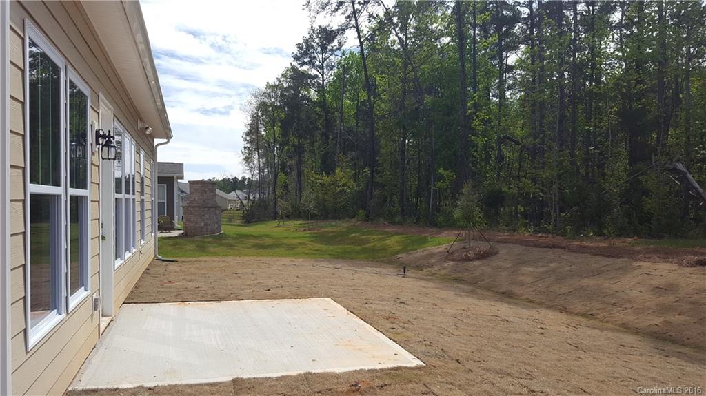 1810 Larkspur Way, Unit 197 Tega Cay, SC 29708 - Photo 22 of 24 Gallery Image 22