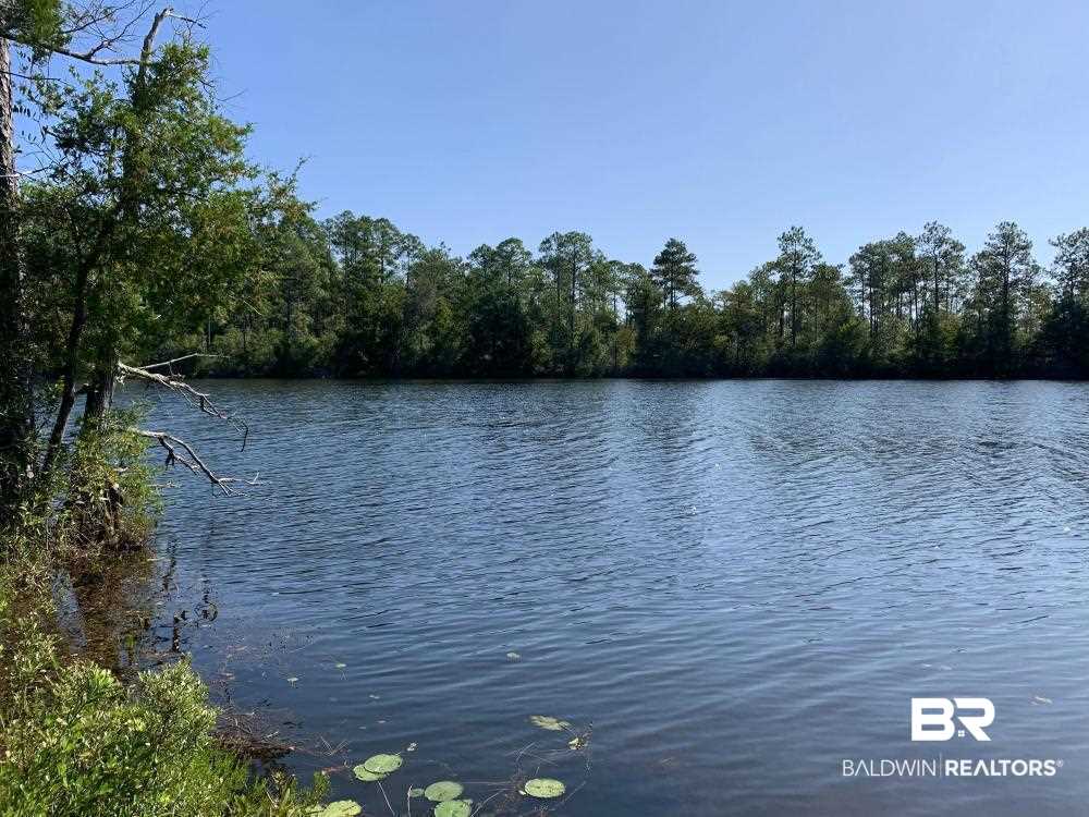 0 Three 3 Rivers Road Seminole, AL 36574 - Photo 12 of 27