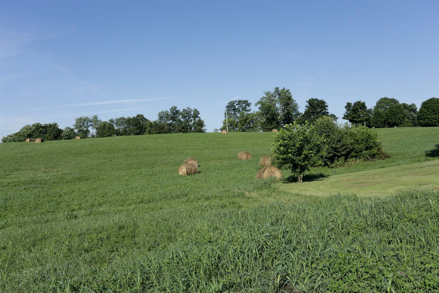 266 White Conkwright Road Winchester, KY 40391 - Photo 28 of 38 Photo 28