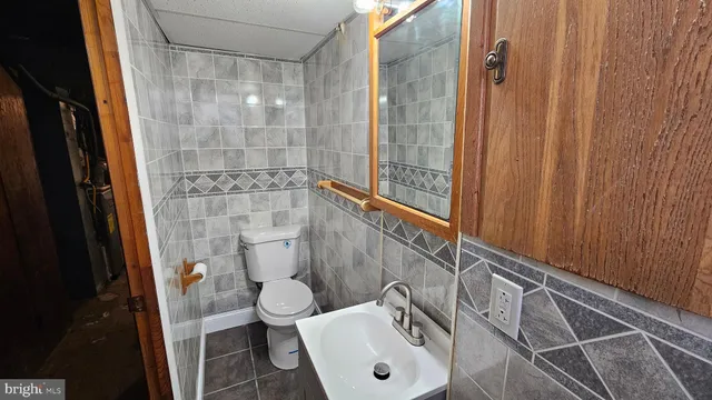 a bathroom with a sink and toilet