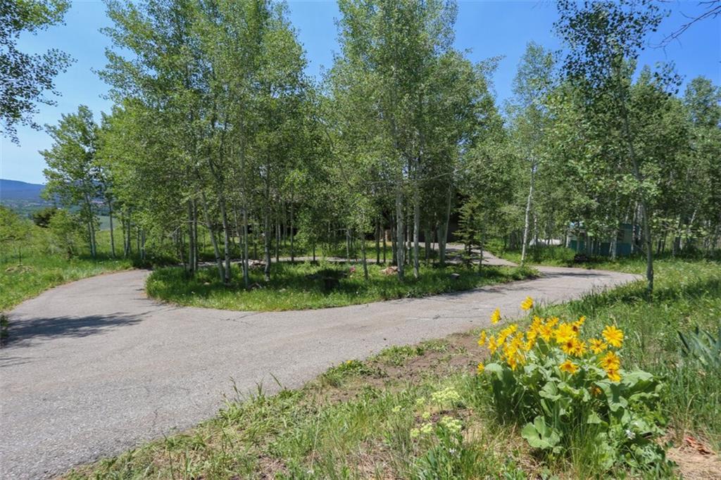 99 M Road Silverthorne, CO 80498 - Photo 32 of 33 a view of backyard with green space