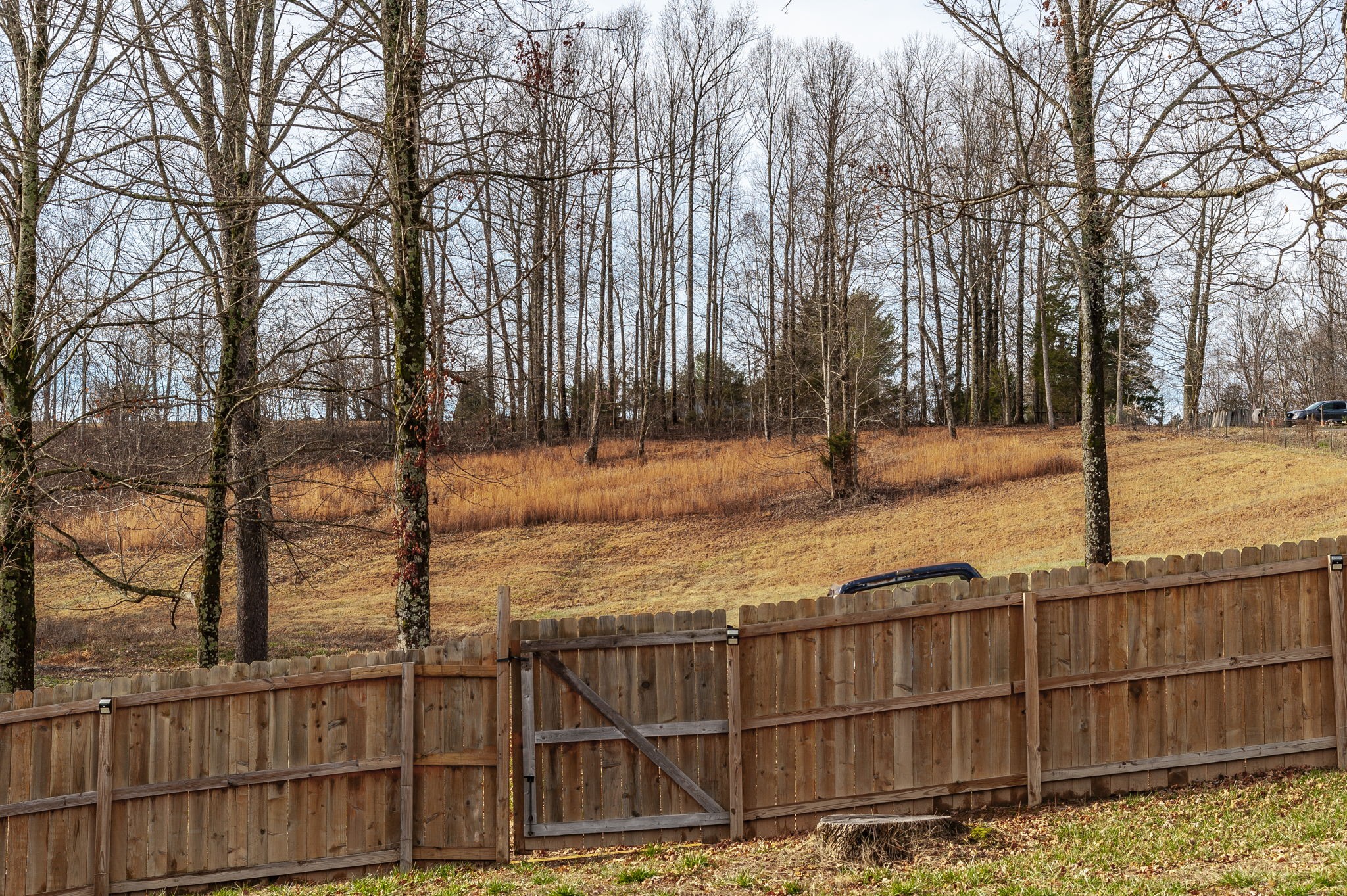 15 Raccoon Road Westmoreland, TN 37186 - Photo 43 of 61