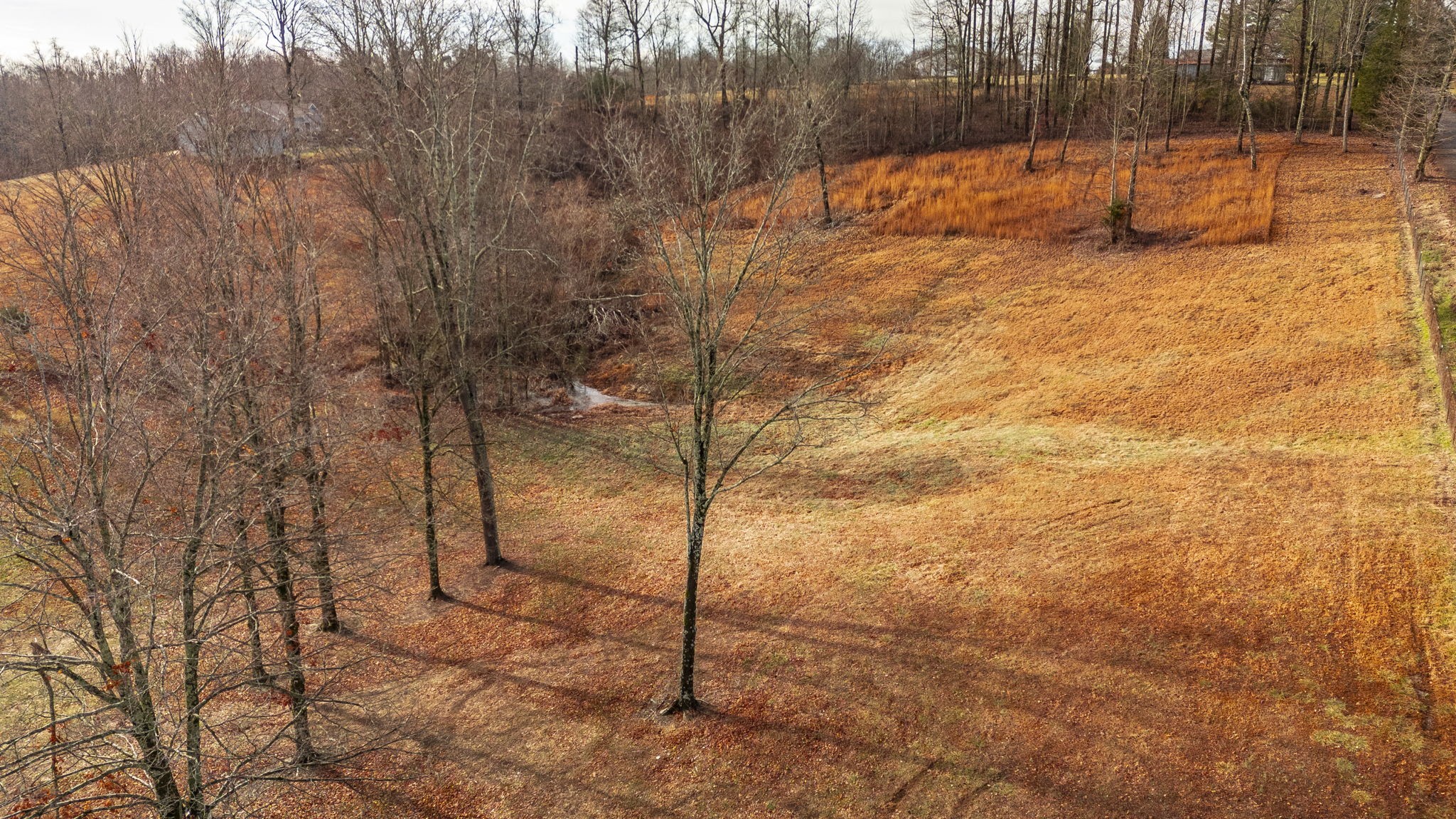 15 Raccoon Road Westmoreland, TN 37186 - Photo 49 of 61