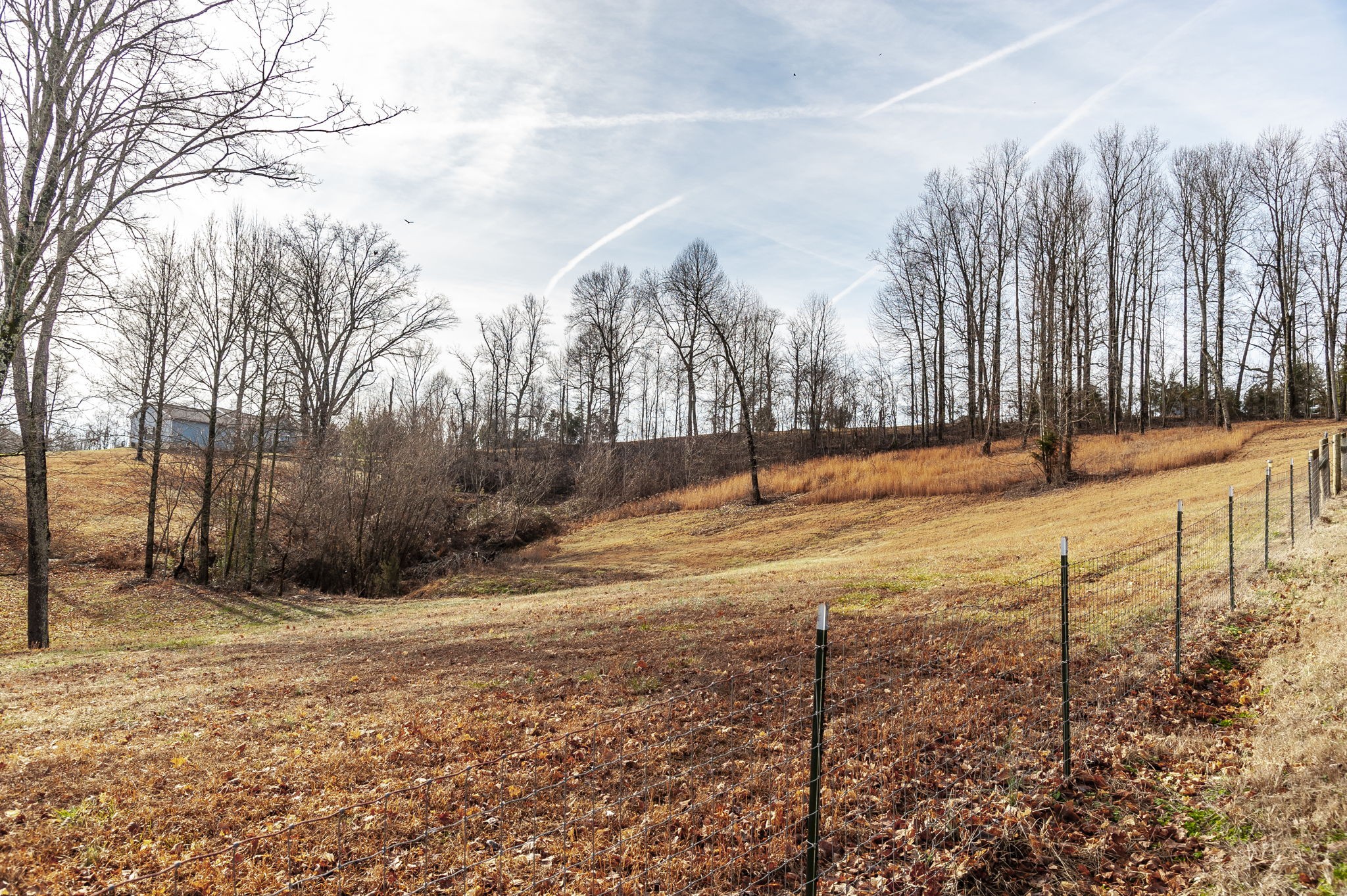 15 Raccoon Road Westmoreland, TN 37186 - Photo 50 of 61