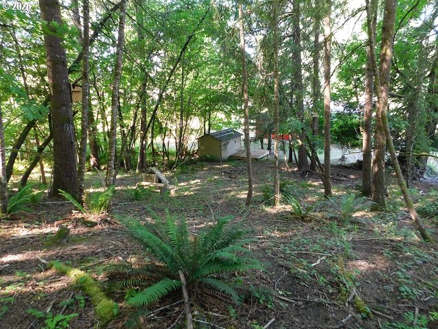 255 D Street Vernonia, OR 97064 - Photo 39 of 39 Yard