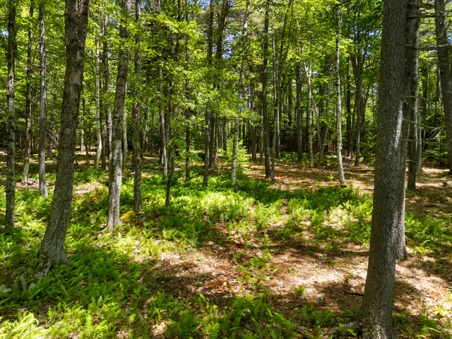 $1,195,000 | 46 Mullins Bog Road, Lincolnville, ME 04849
