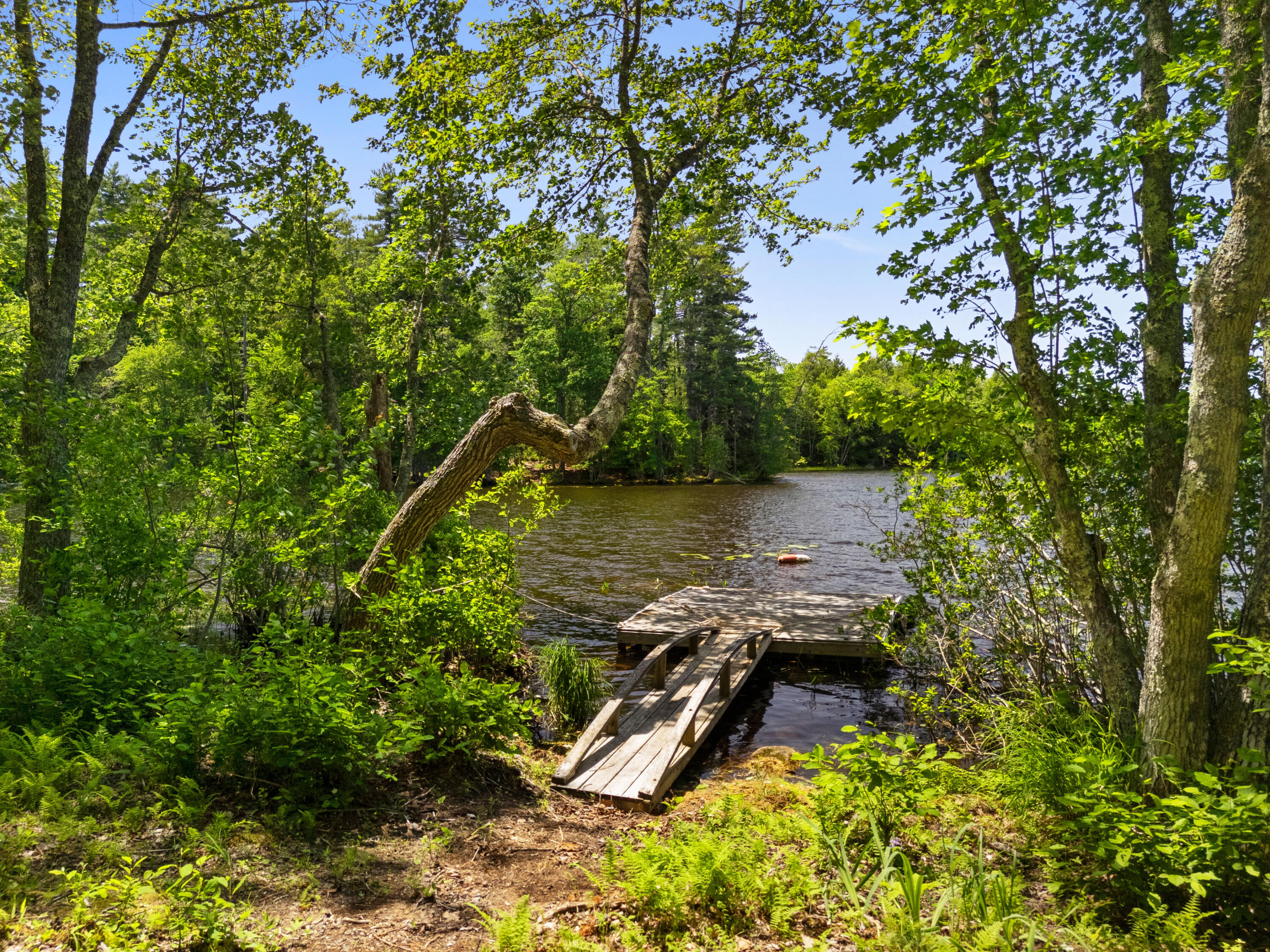 46 Mullins Bog Road Lincolnville, ME 04849 - Photo 14 of 21 Mullins Bog Road, Lincolnville
