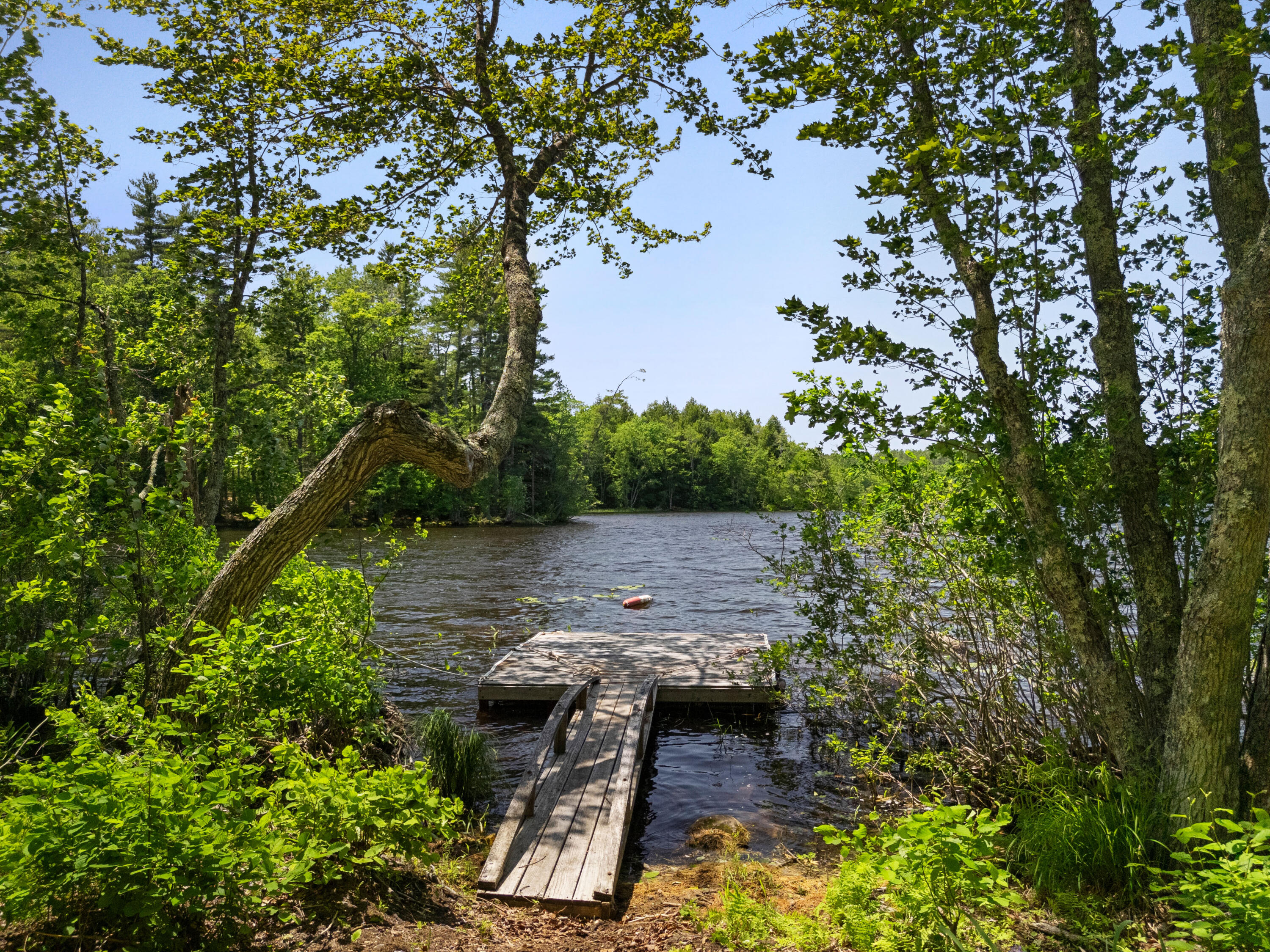 46 Mullins Bog Road Lincolnville, ME 04849 - Photo 19 of 21 Mullins Bog Road, Lincolnville