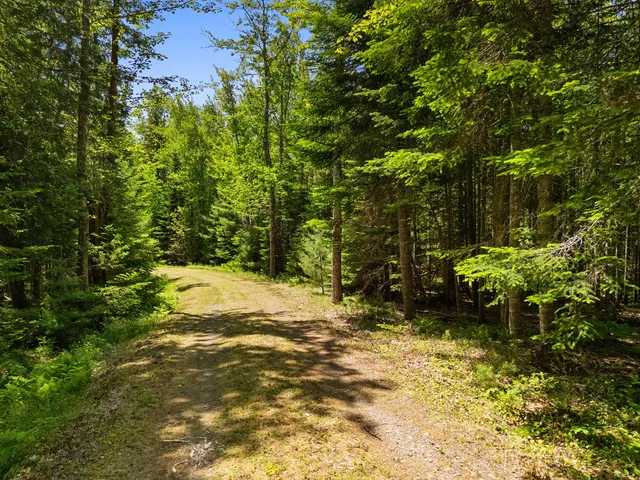 $1,195,000 | 46 Mullins Bog Road, Lincolnville, ME 04849