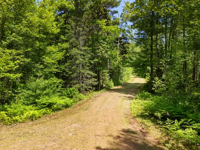 $1,195,000 | 46 Mullins Bog Road, Lincolnville, ME 04849