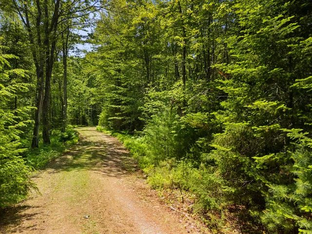 $1,195,000 | 46 Mullins Bog Road, Lincolnville, ME 04849