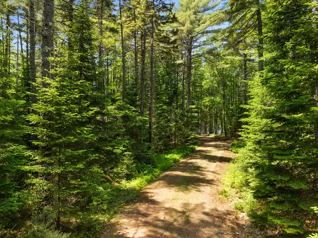 $1,195,000 | 46 Mullins Bog Road, Lincolnville, ME 04849