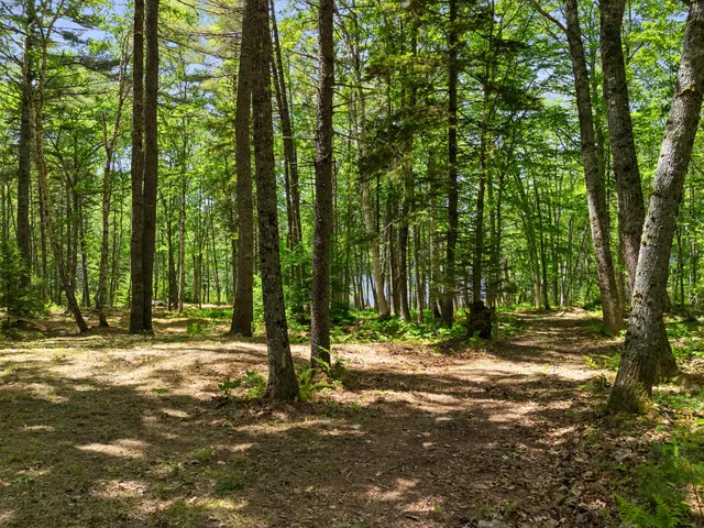 $1,195,000 | 46 Mullins Bog Road, Lincolnville, ME 04849
