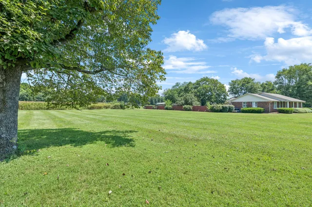 a view of a garden with a house