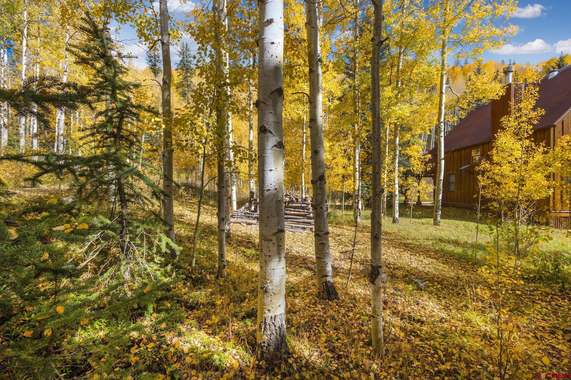 Lot 7 Silverglance Way Rico, CO 81332 - Photo 14 of 17