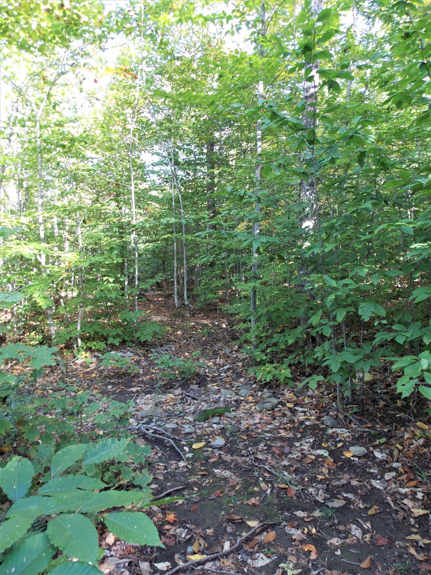 399 Number 10 Road Dexter, ME 04930 - Photo 54 of 64 DSCN3332