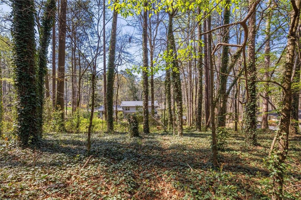 5416 Pheasant Run Smoke Rise, GA 30087 - Photo 41 of 47 a view of backyard with green space