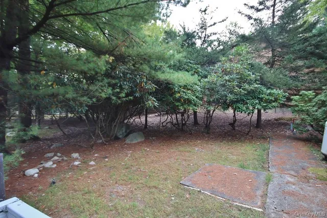 a view of a trees in a yard