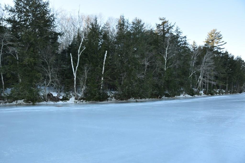 M29-l10-1 Embden Pond Road Embden, ME 04958 - Photo 11 of 19 Shoreline