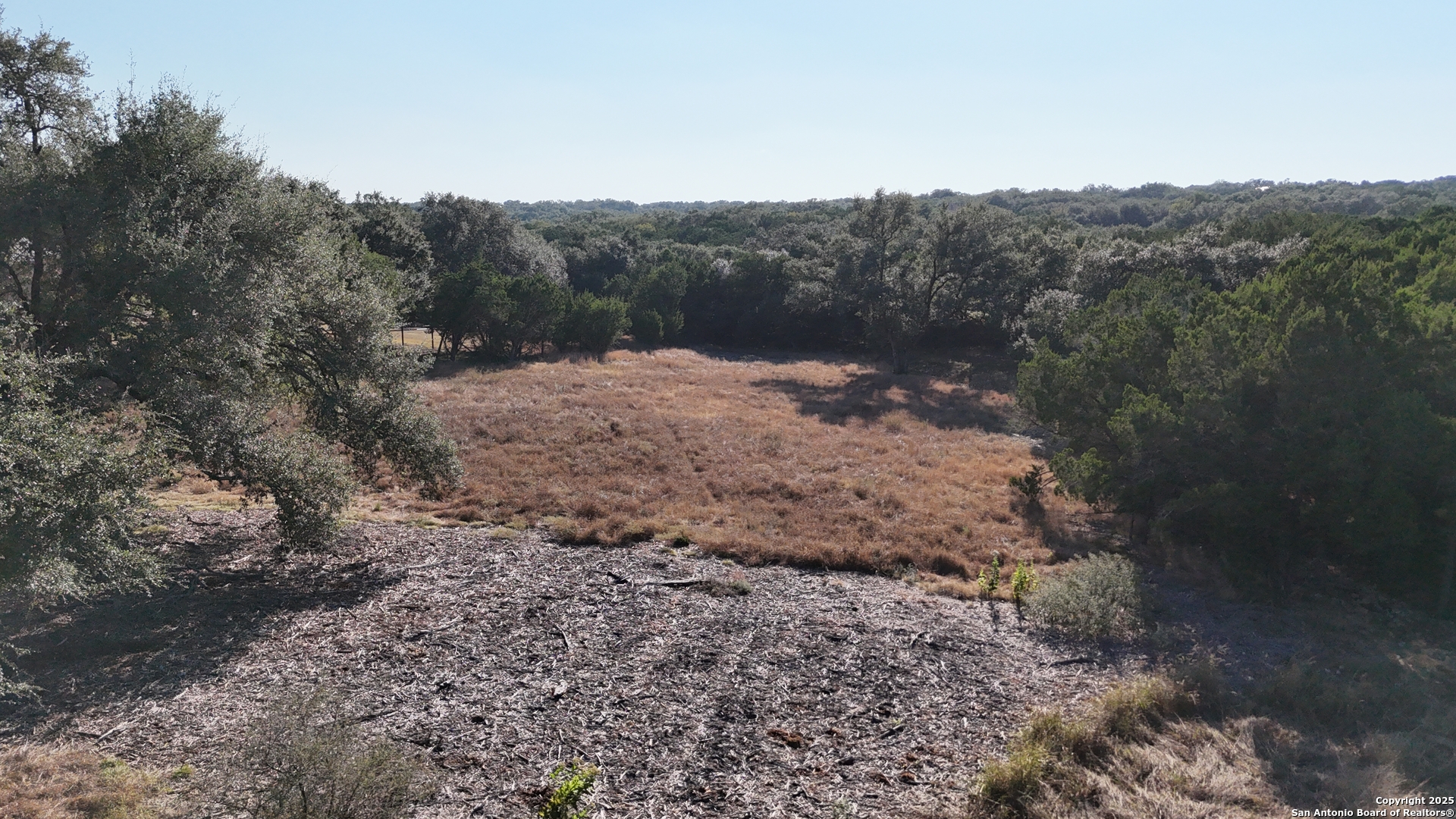27227 Eichenbaum Road New Braunfels, TX 78132 - Photo 12 of 16 a view of a dry yard