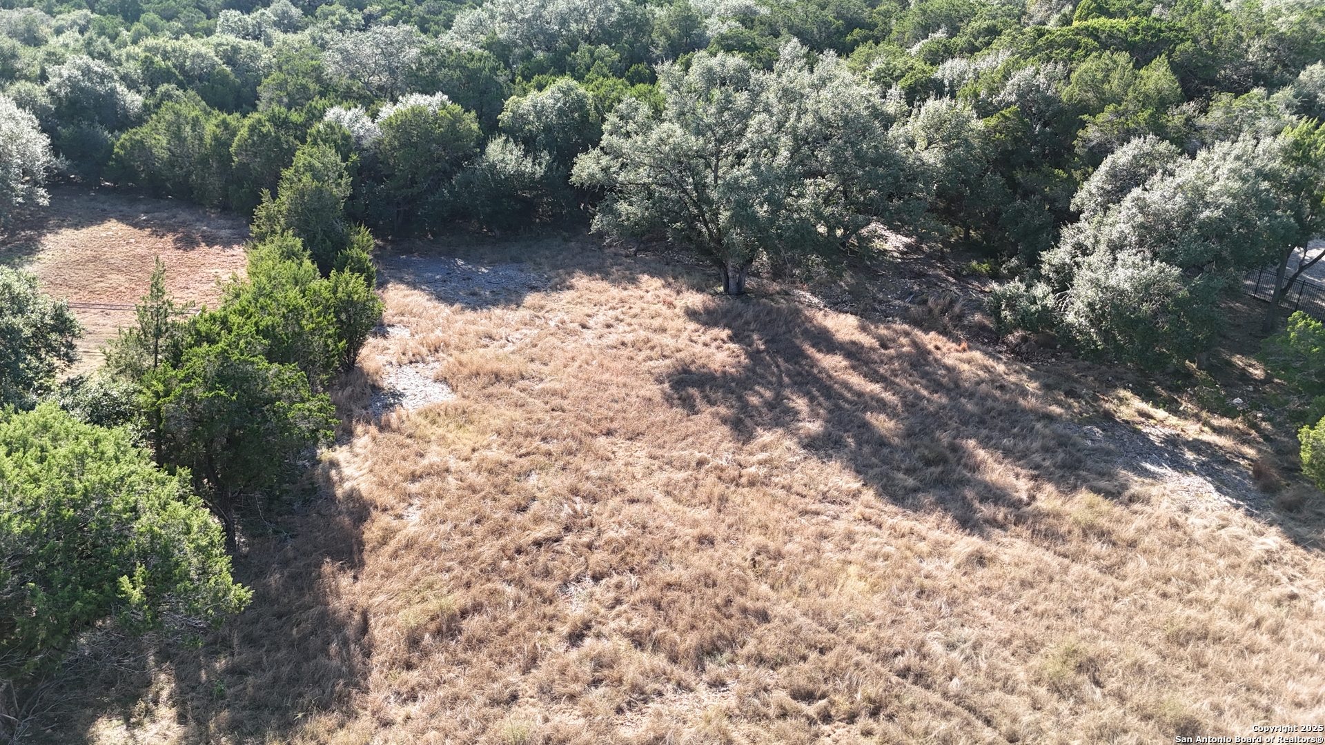 27227 Eichenbaum Road New Braunfels, TX 78132 - Photo 2 of 16 a view of a yard with a tree
