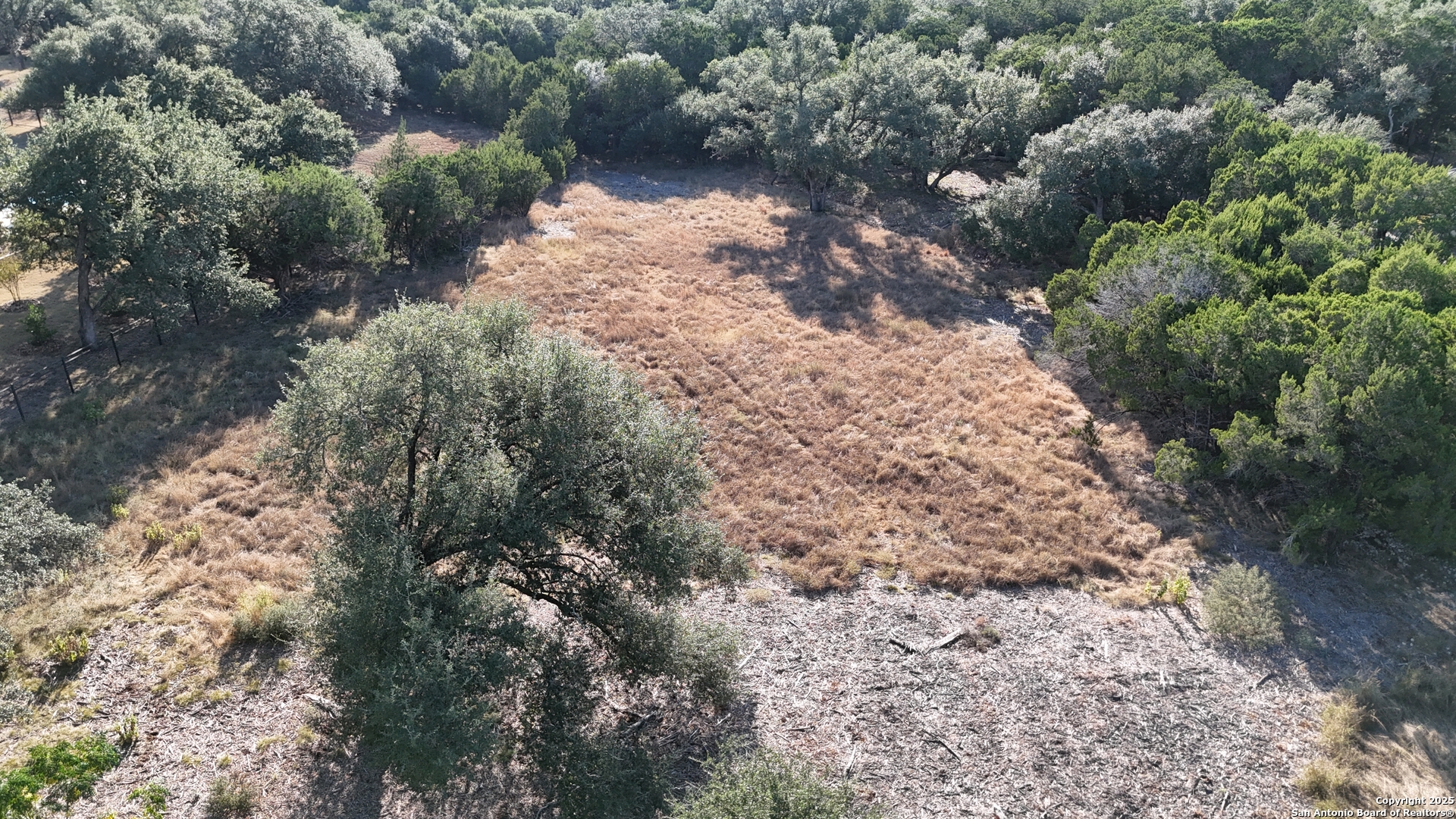 27227 Eichenbaum Road New Braunfels, TX 78132 - Photo 3 of 16 a view of a forest with trees