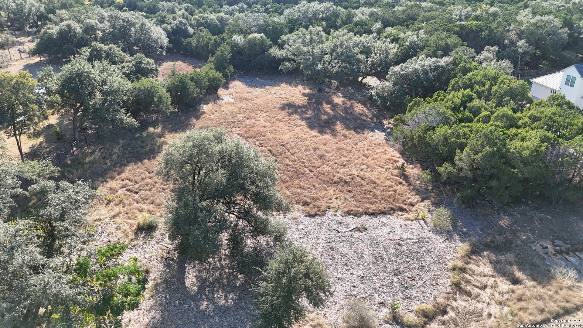 27227 Eichenbaum Road New Braunfels, TX 78132 - Photo 4 of 16 a view of a tree with a yard