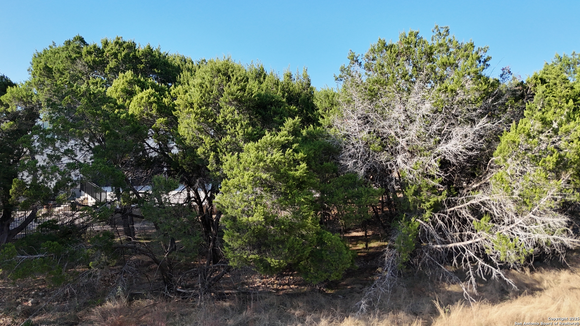 27227 Eichenbaum Road New Braunfels, TX 78132 - Photo 9 of 16 a backyard of a house with lots of trees