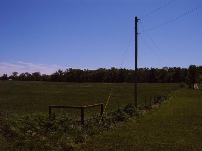 0 Farm Road Rogersville, MO 65742 - Photo 1 of 1 20140425213445720265000000-o