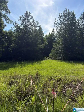 $200,000 | 988 County Road 123, Unit 1, Jemison, AL 35085