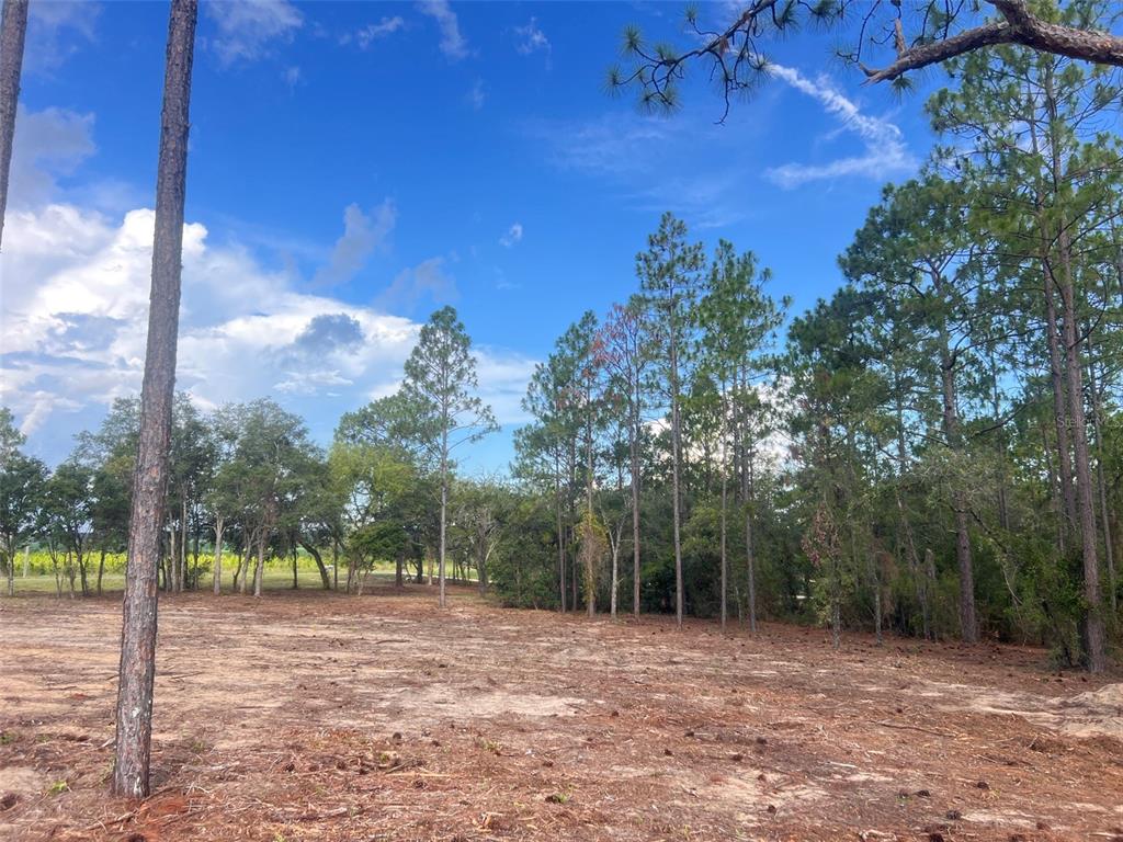 Levy Street Williston, FL 32696 - Photo 17 of 26