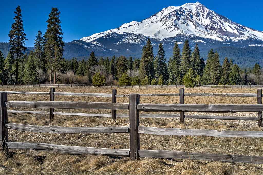 8 Squaw Valley Road McCloud, CA 96057 - Photo 5 of 6 Gallery Image 5